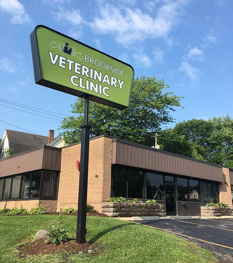 animal hospital in Auburn